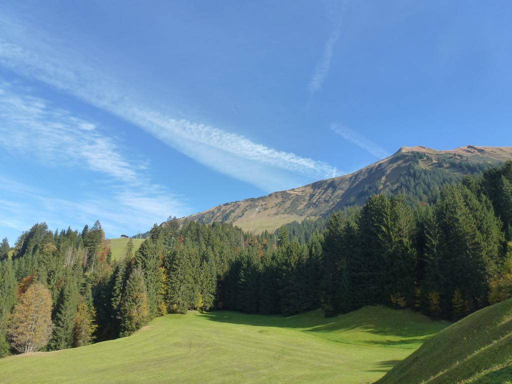 Walser Berg Chalets Riezlern Buitenkant foto